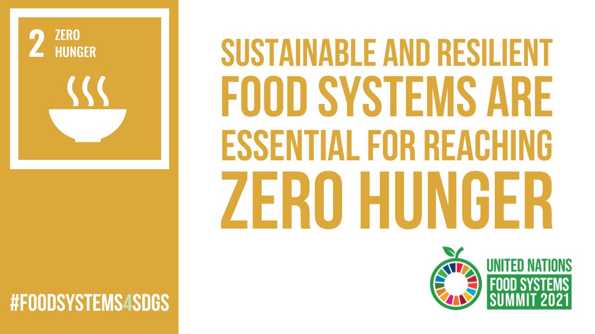 UN Food System Summit 2021