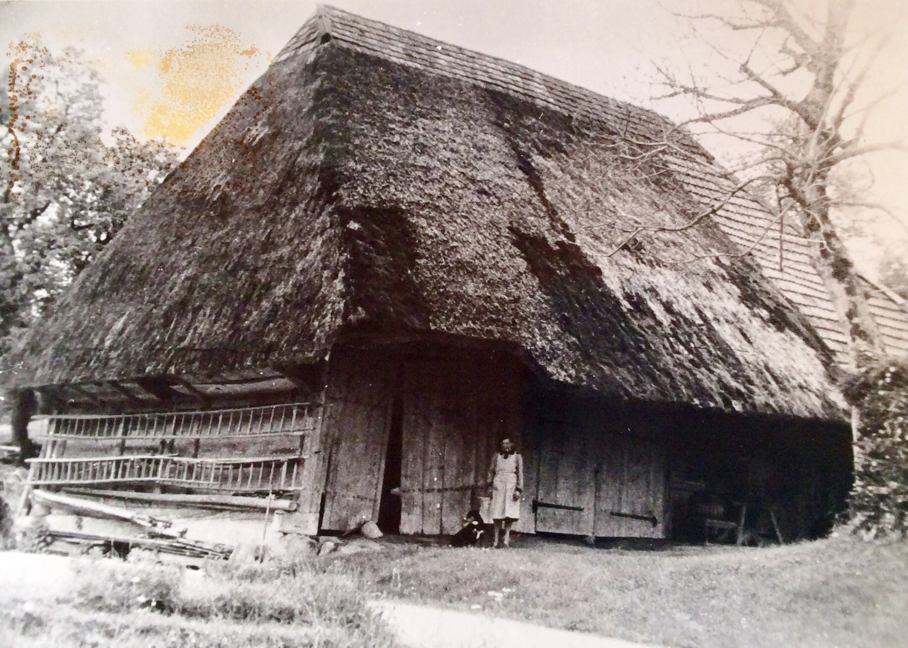 Das letzte Strohdachhaus in der Gemeinde Schmiedrued , abgebrochen 1962 (Aufnahme von 1955/1960, Sammlung Roland Frei)